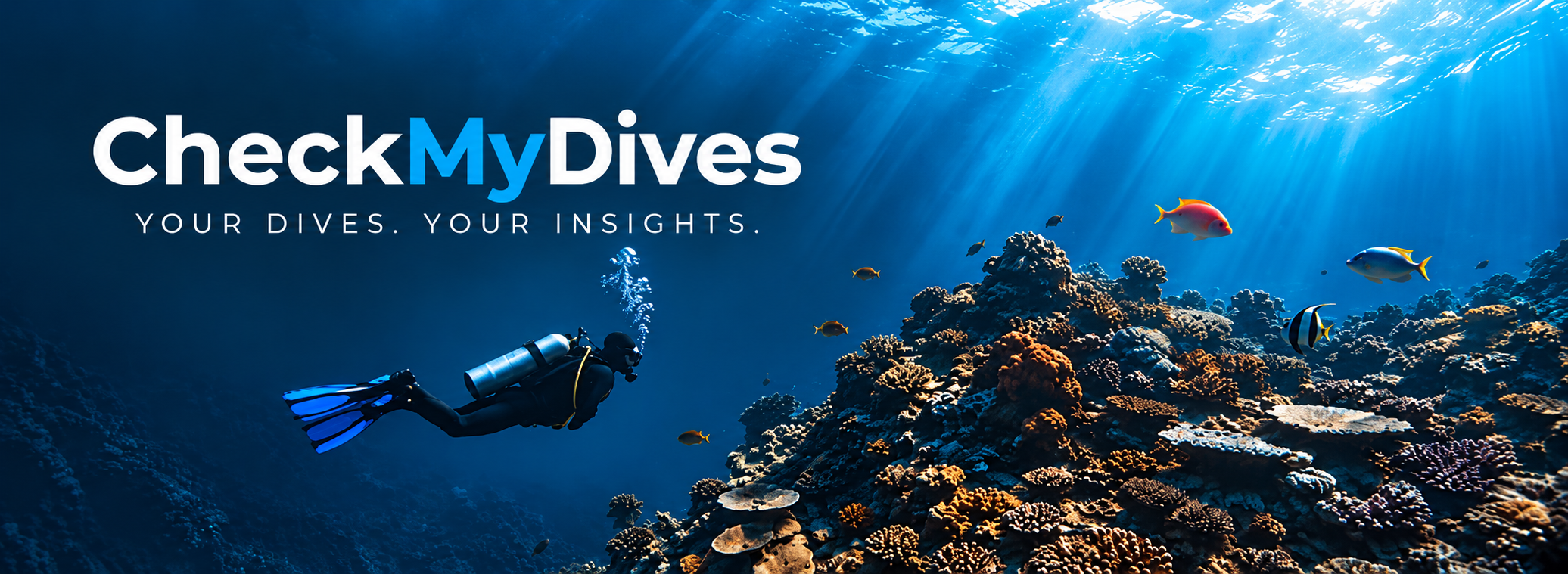 CheckMyDives — Your dives. Your insights.